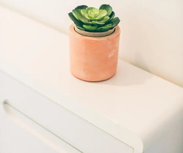 La Pomponnette Du Bassin Lägenhet